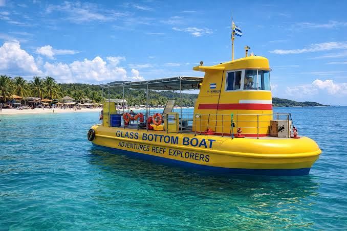 Glass-Bottom Boat
