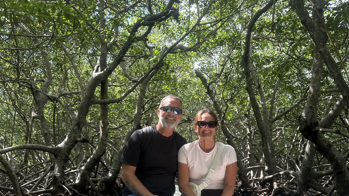 Mangrove Eco Tour