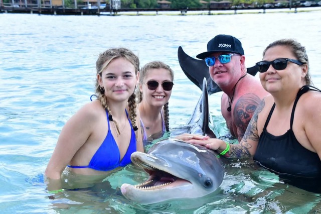 Guests greeting a bottlenose dolphin in clear Caribbean water