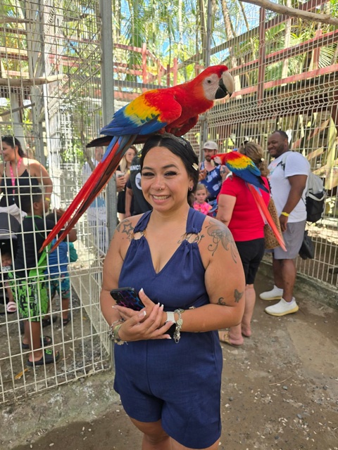 Making friends with a scarlet macaw at the sanctuary