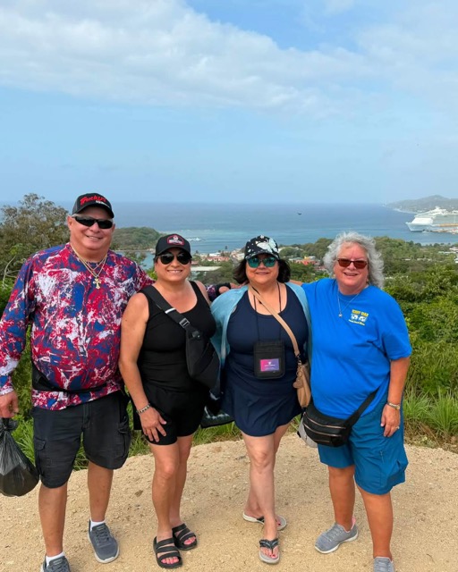 Guests at a lookout with the coastline and cruise ship behind